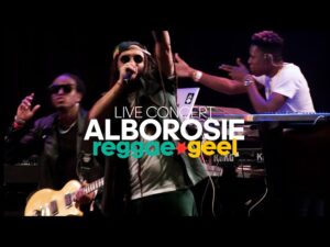 assistez au concert exceptionnel d'alborosie et vivez une expérience reggae inoubliable ! découvrez toutes les dates, infos pratiques et réservez vite votre place pour voir alborosie en live.
