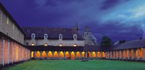 découvrez les respounchous, une plante sauvage typique du tarn, prisée pour sa saveur unique et ses bienfaits. apprenez où la trouver, comment la cuisiner et la déguster dans la tradition tarnaise.