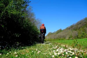 découvrez saint-lieux-lès-lavaur, charmant village du tarn, réputé pour son patrimoine, ses paysages verdoyants et son train touristique emblématique. idéal pour une escapade authentique au cœur de l’occitanie.