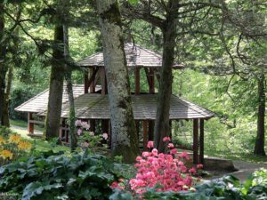 découvrez le parc de gourjade à castres, un espace naturel idéal pour se détendre, se promener en famille et profiter de la nature en plein cœur de la ville.